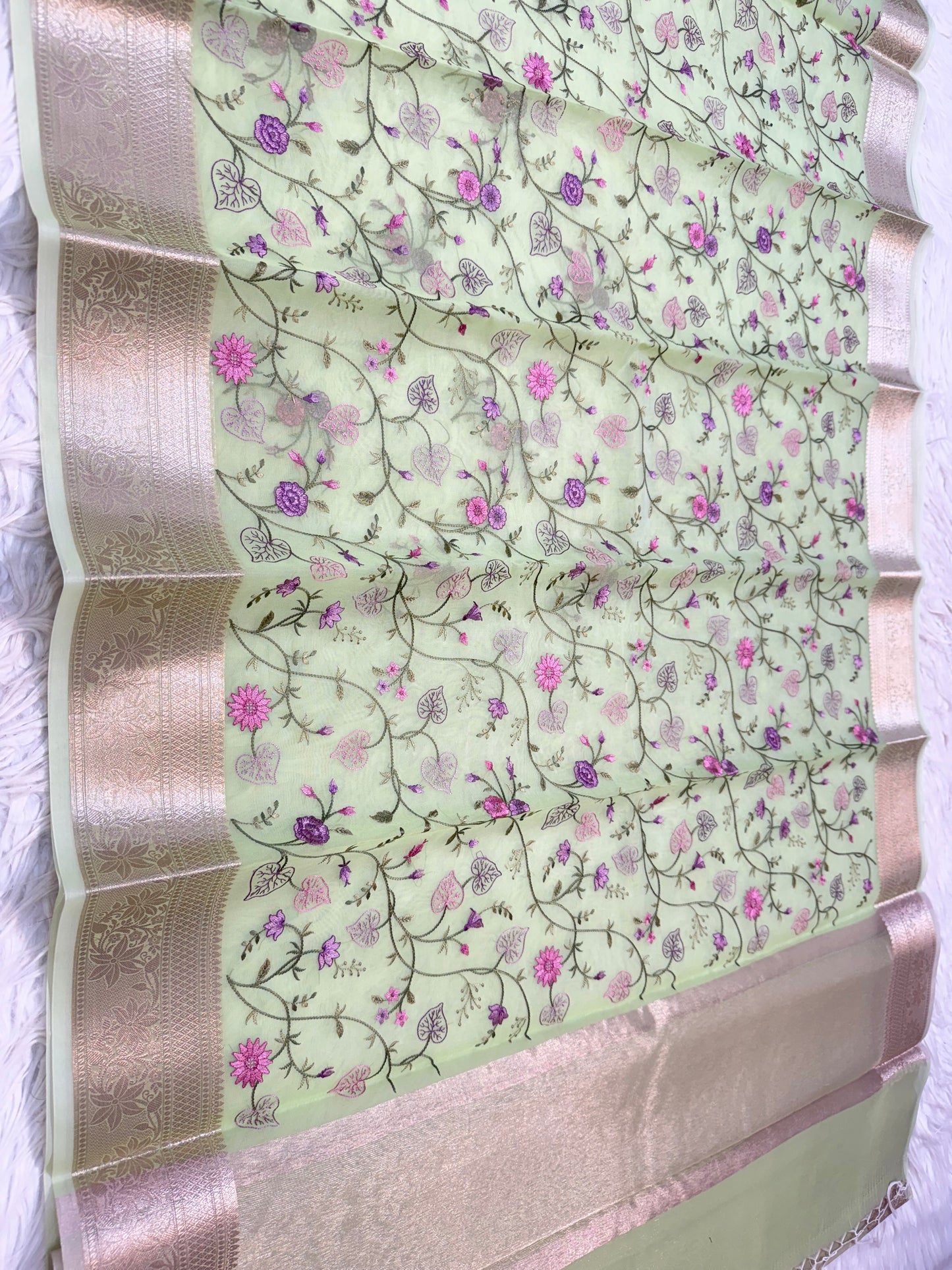 Pista green shade organza embroidery Banarasi saree