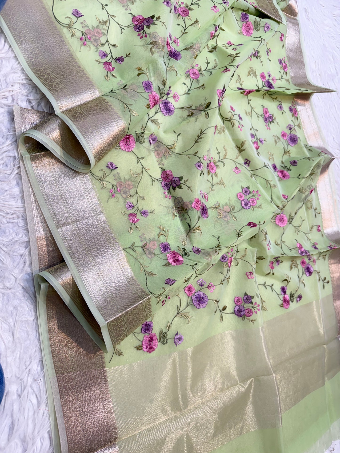 Pista shade organza embroidery Banarasi saree