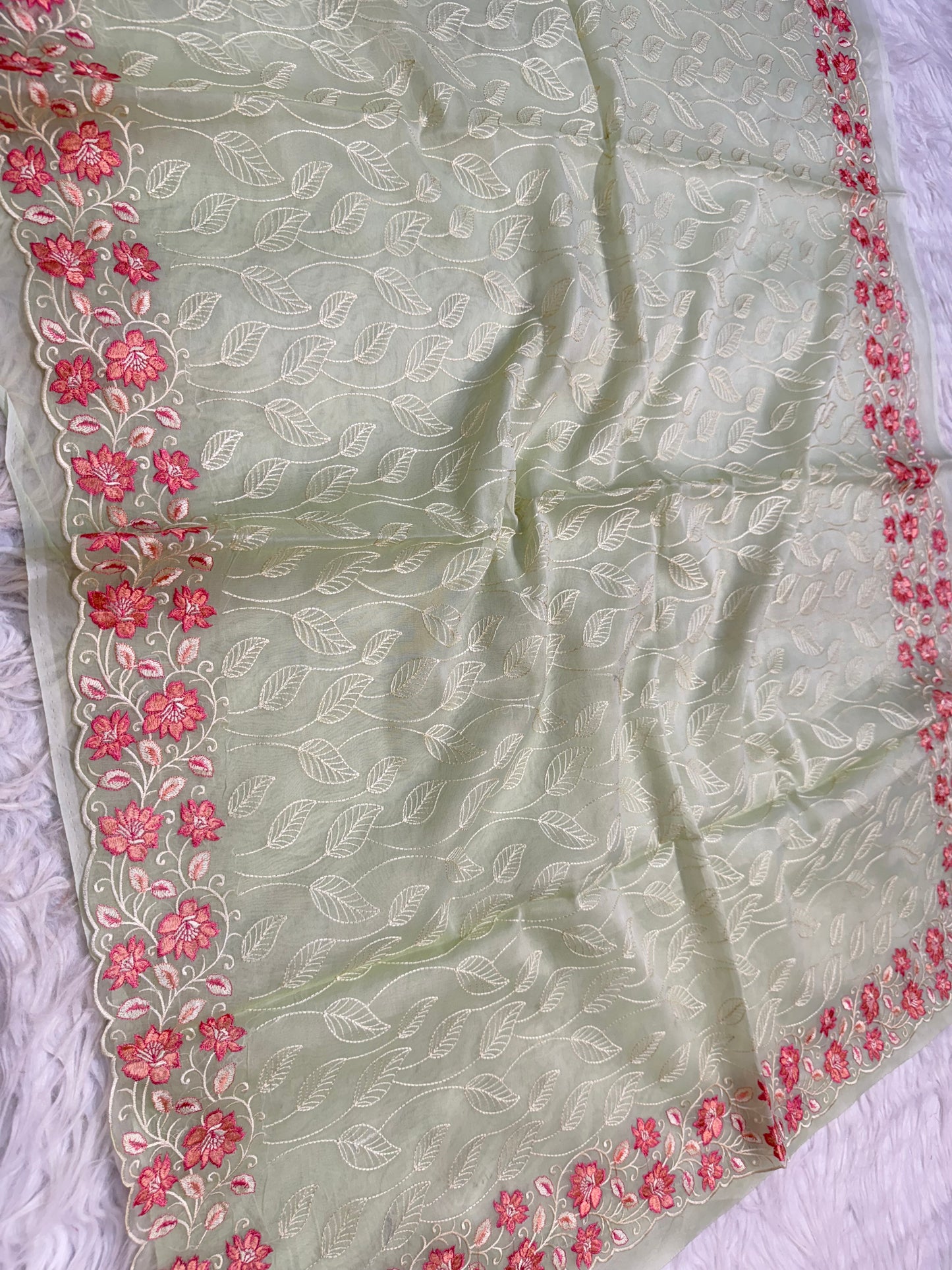 Banarasi kora organza embroidery saree