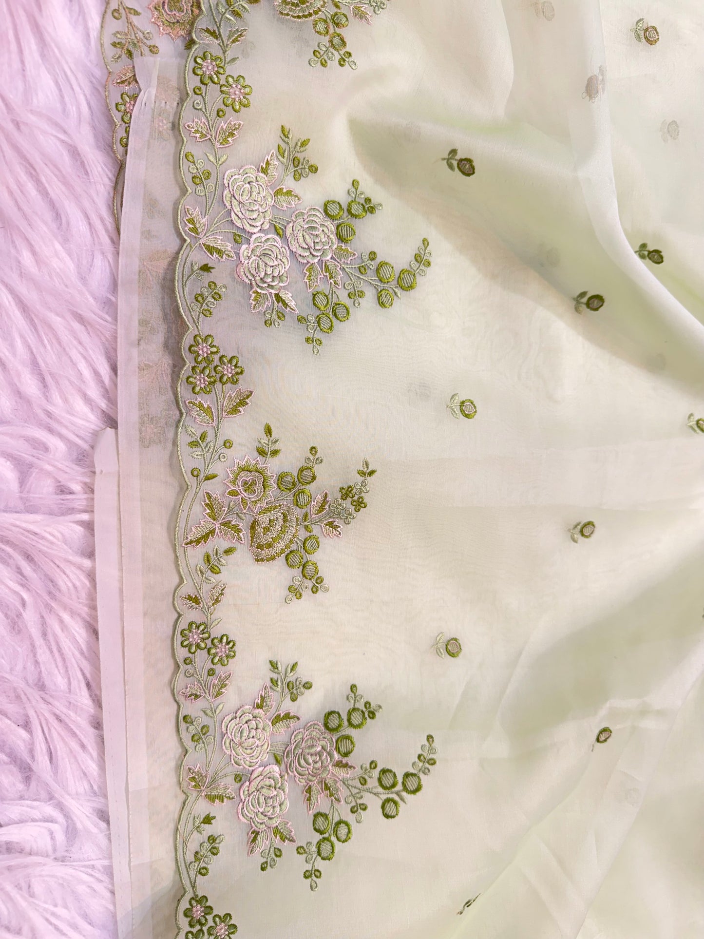 Pista green shade kora organza cutwork embroidery Banarasi saree