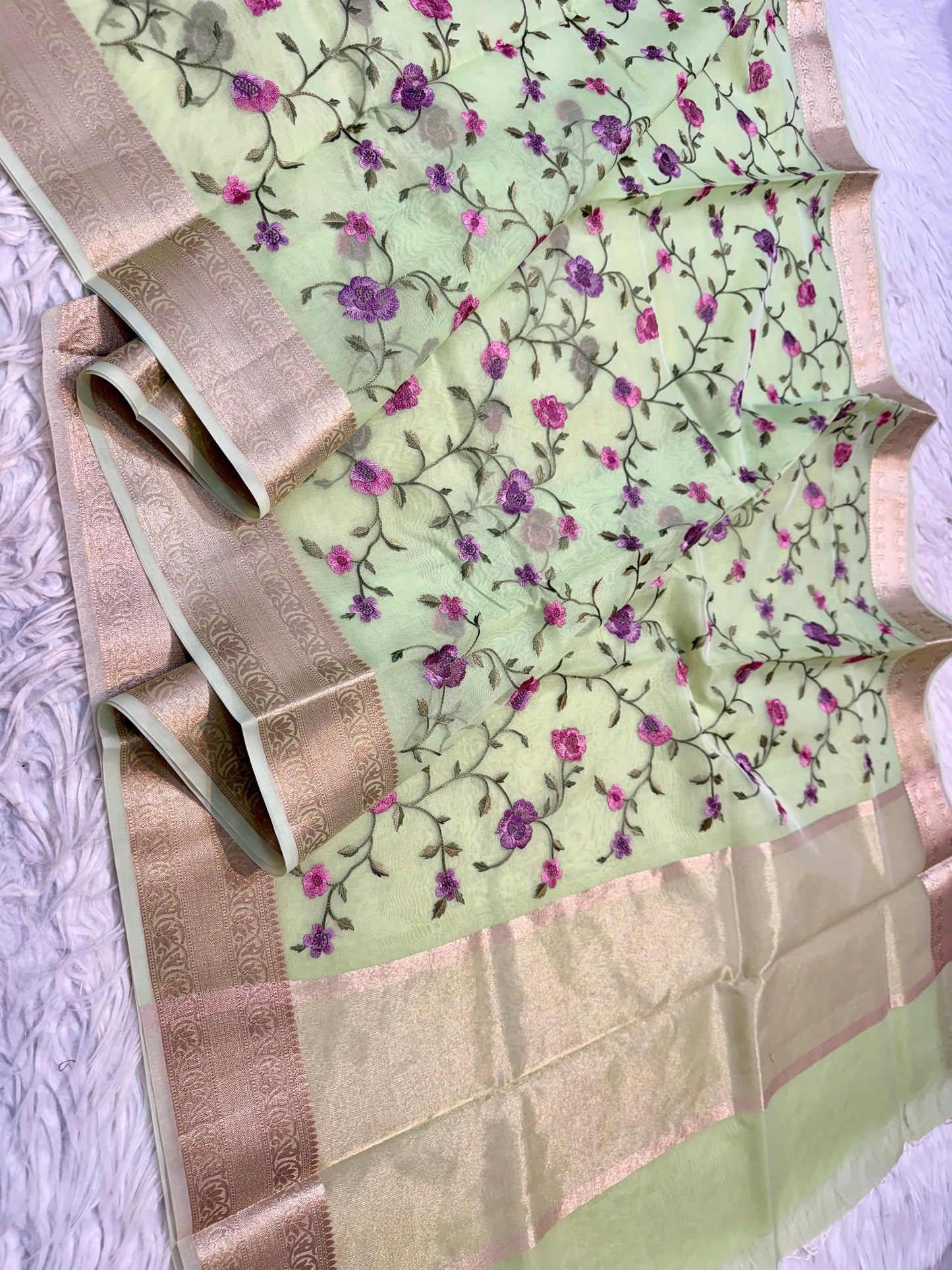 Pista green shade organza embroidery Banarasi saree