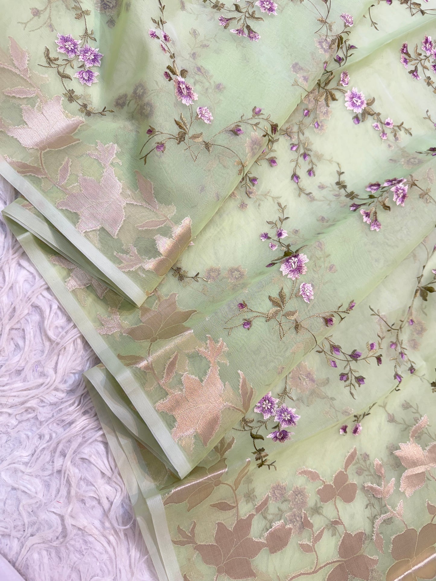 Pista green shade organza embroidery Banarasi saree