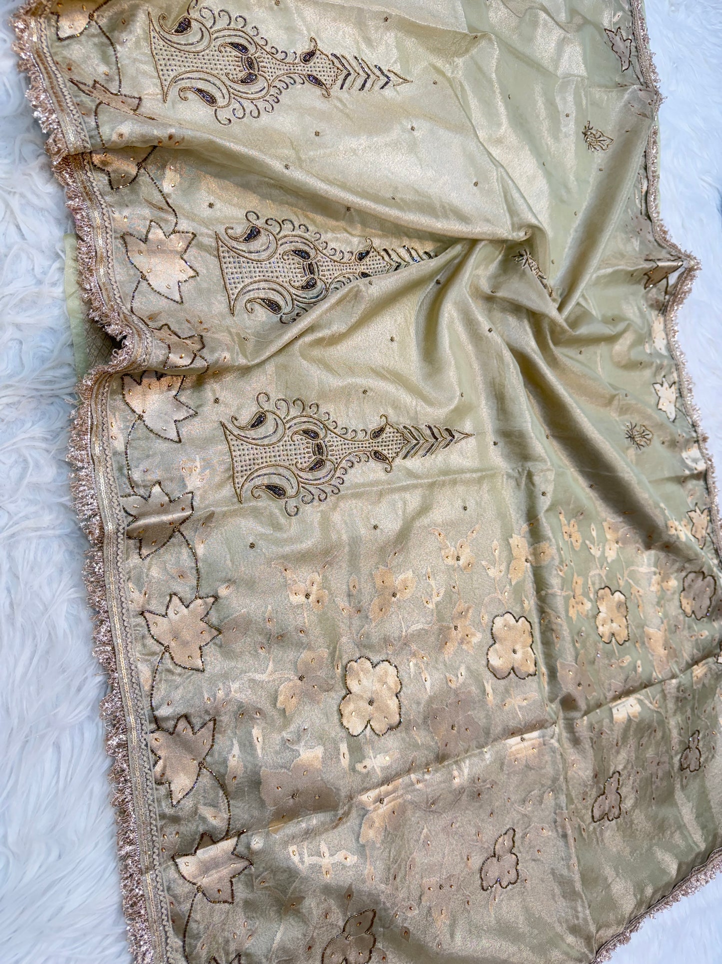 Pista free shade tissue ari & zardosi work designer premium Banarasi saree