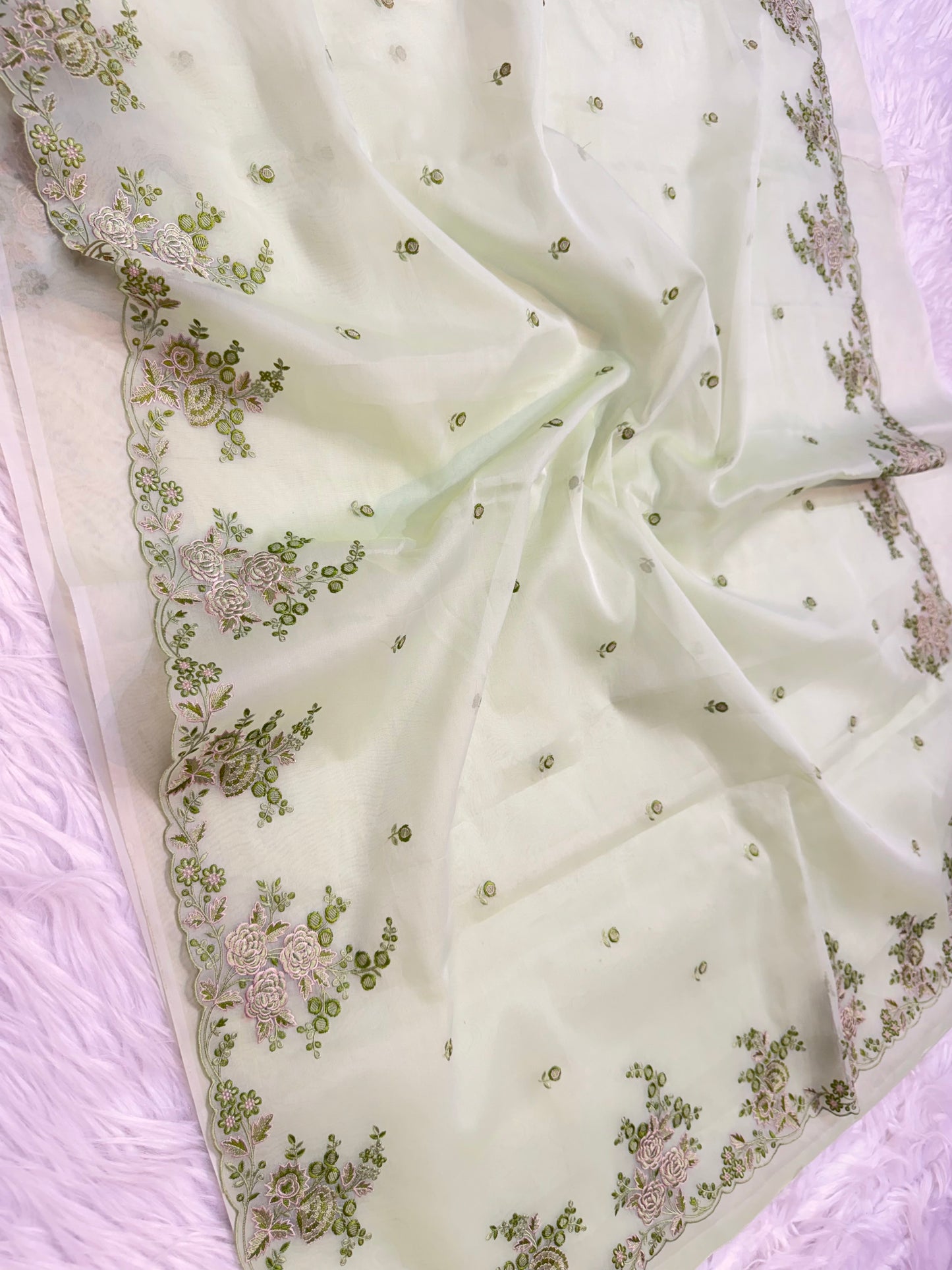 Pista green shade kora organza cutwork embroidery Banarasi saree