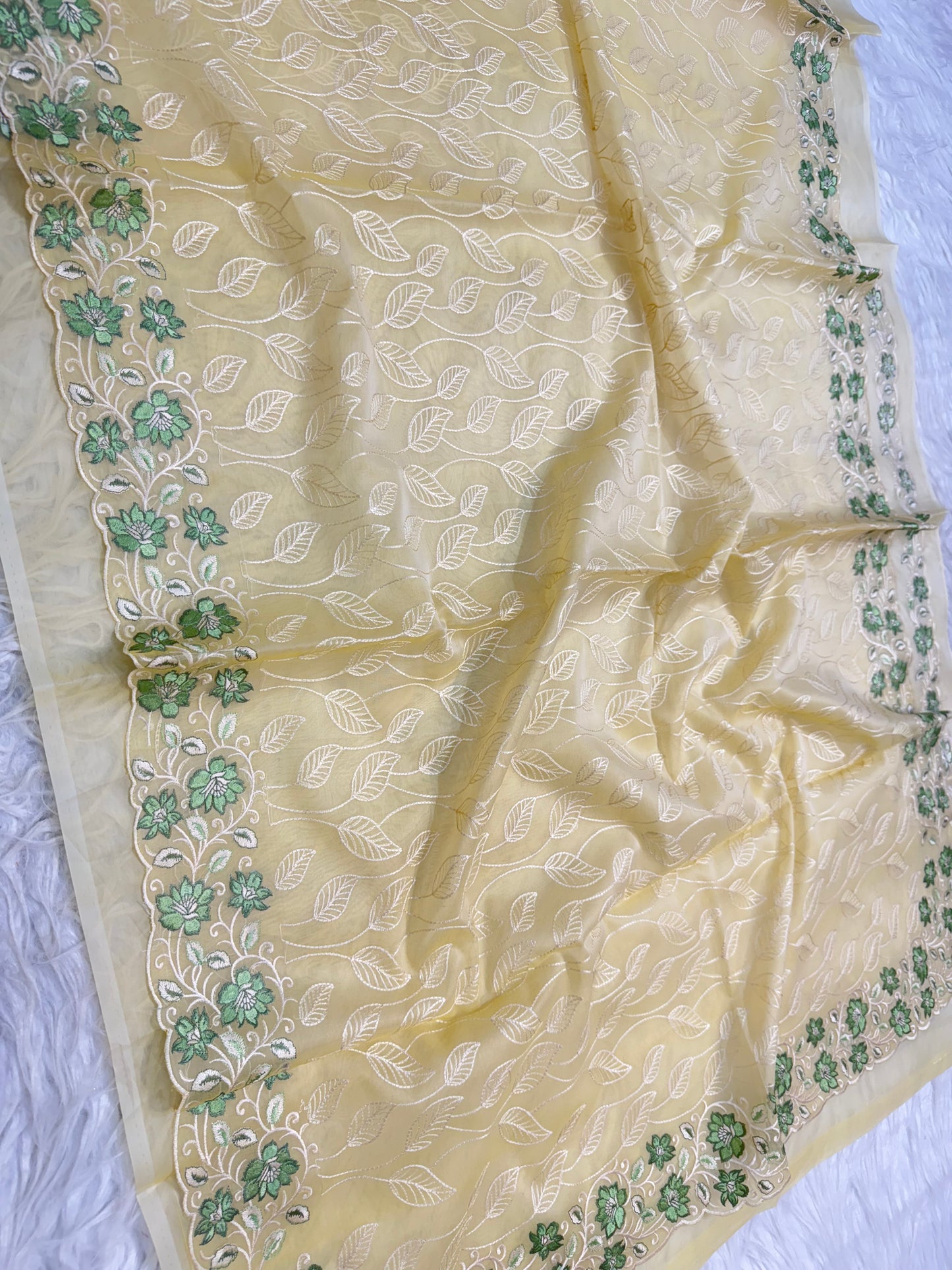 Banarasi kora organza embroidery saree