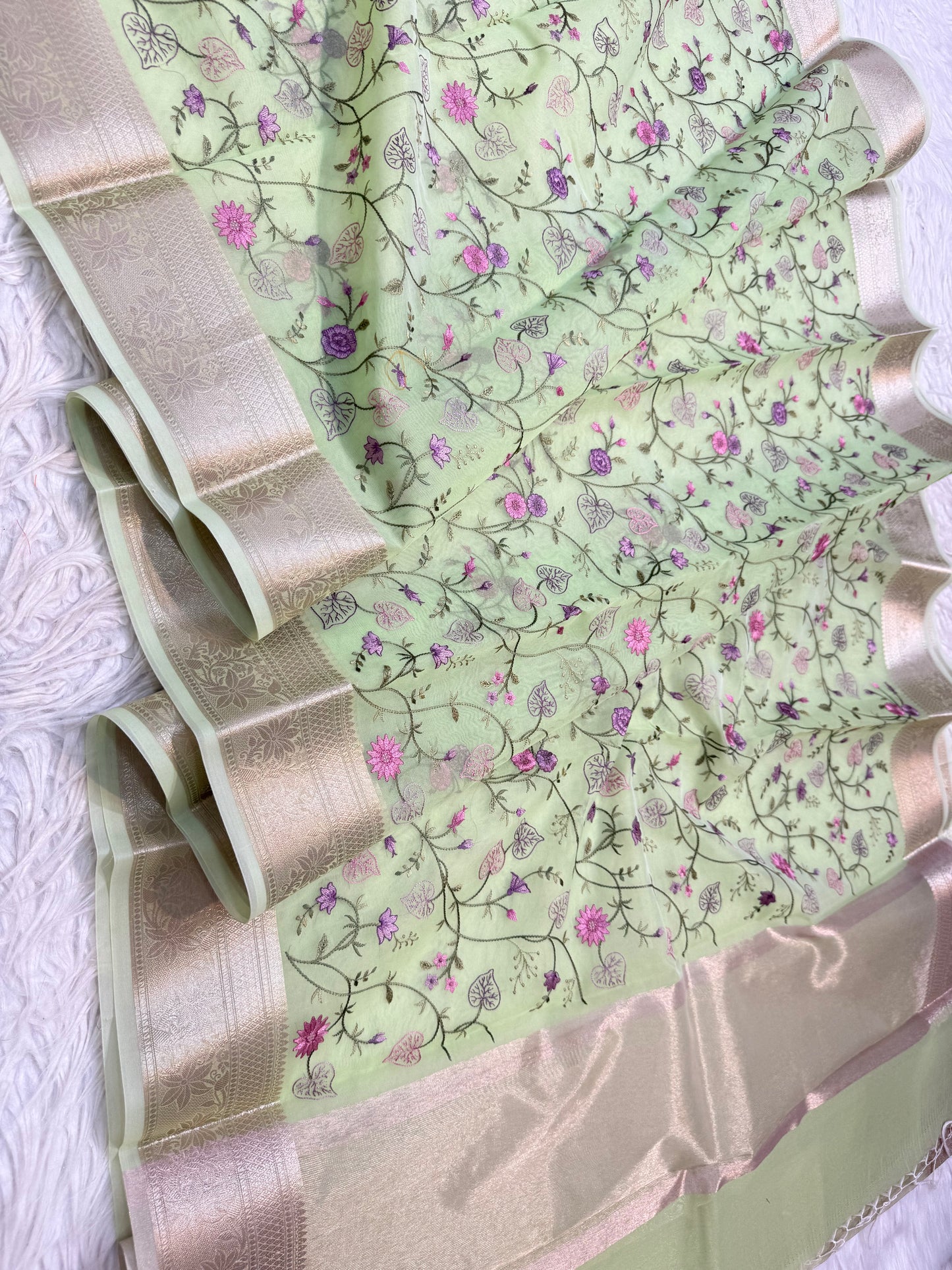 Pista green shade organza embroidery Banarasi saree