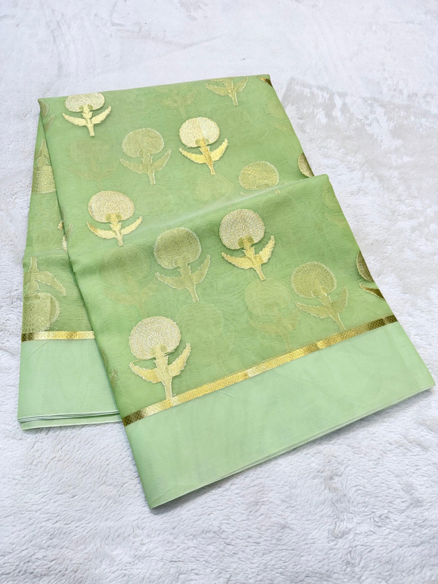Pista Green Kora Organza Banarasi Saree