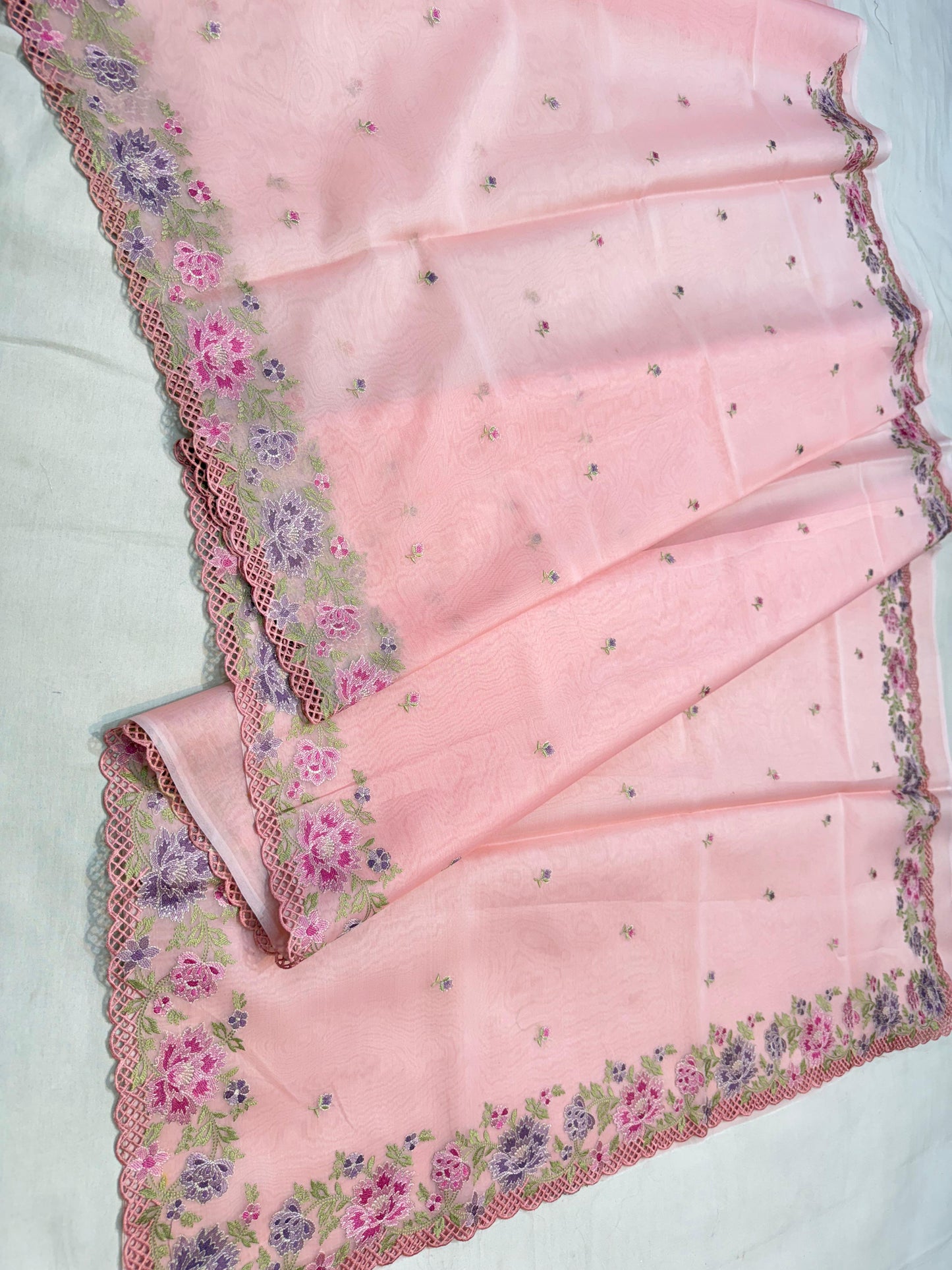 Banarasi kora organza embroidery saree