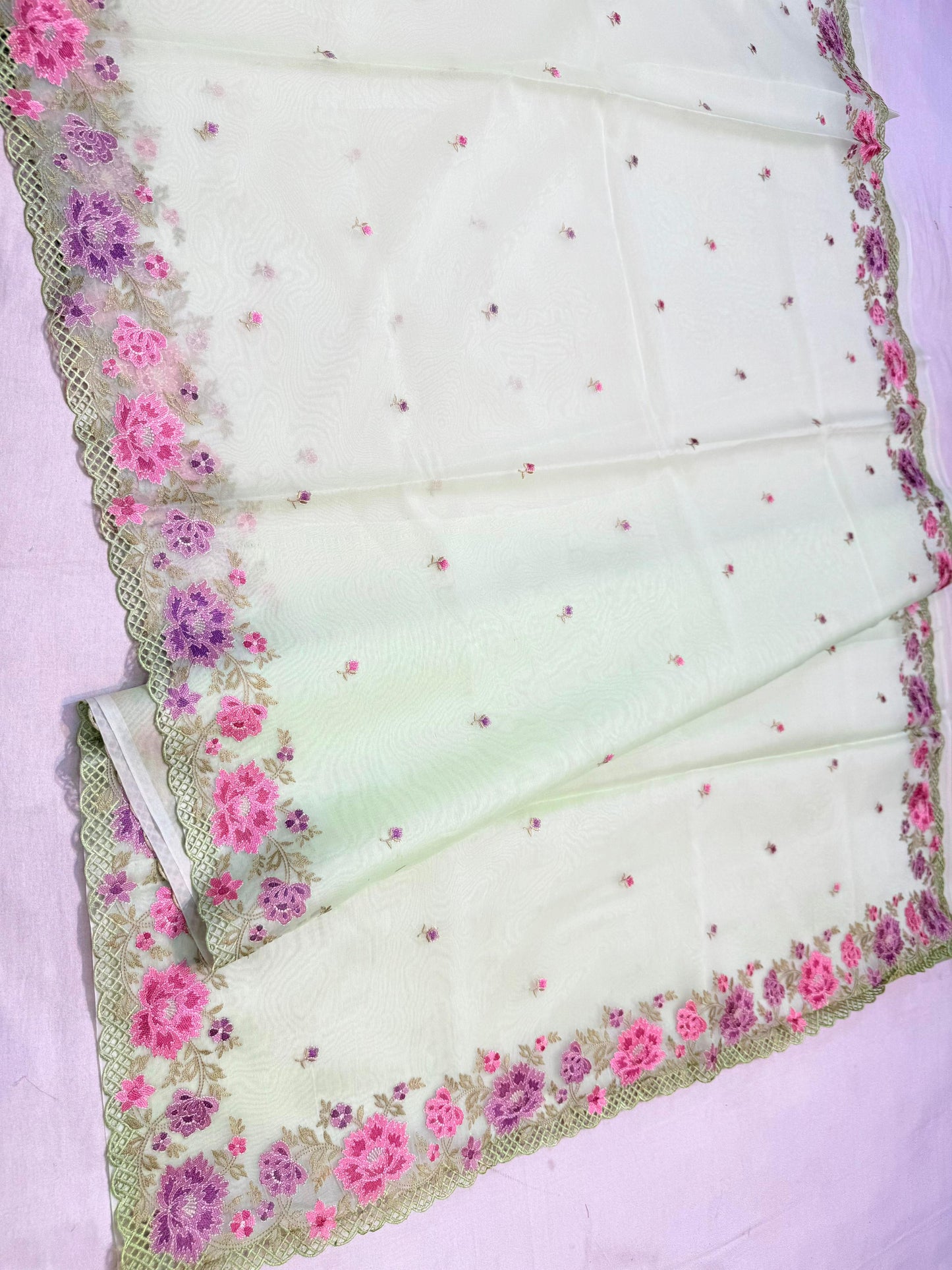 Banarasi kora organza embroidery saree