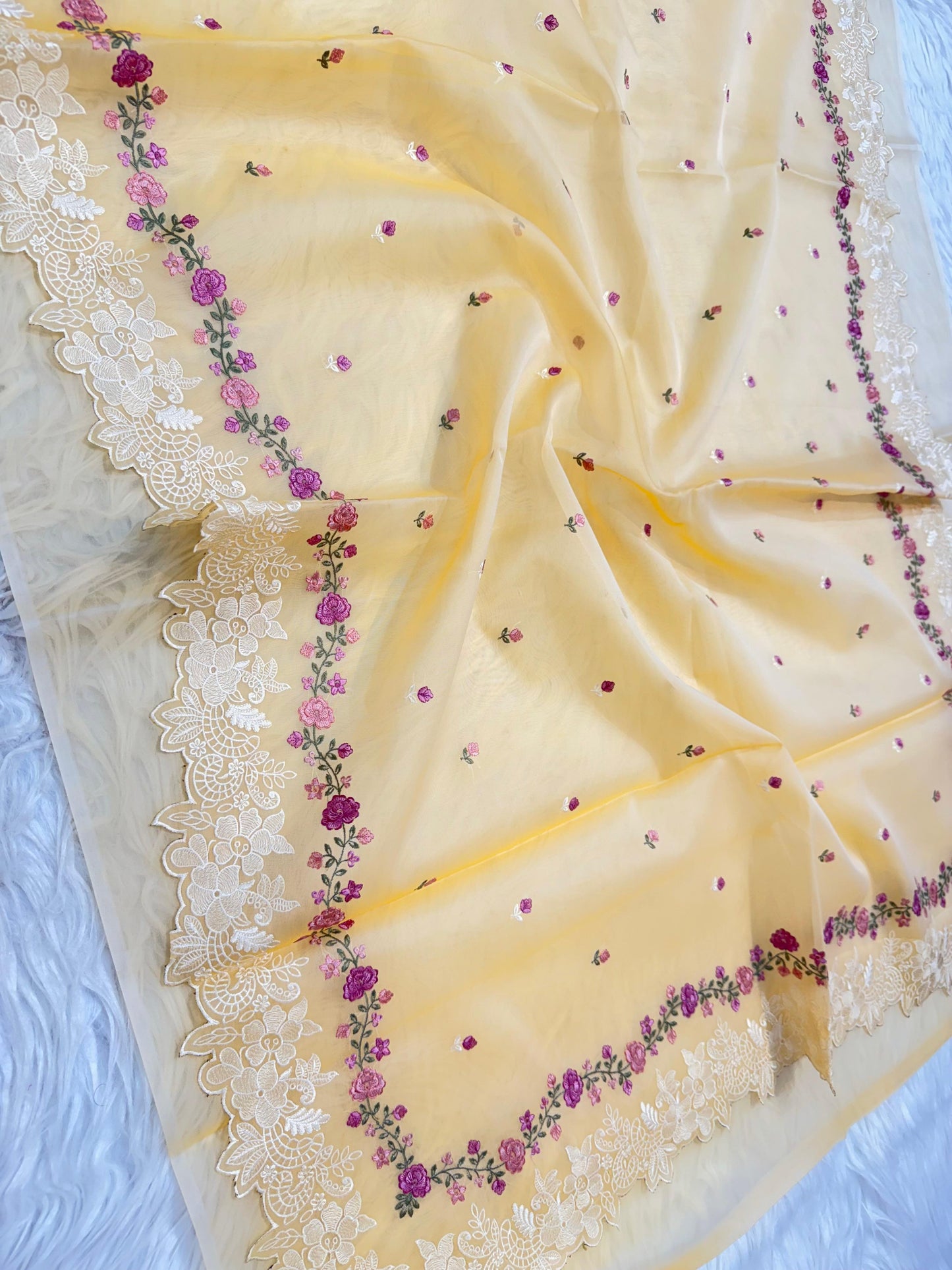 Banarasi kora organza embroidery saree