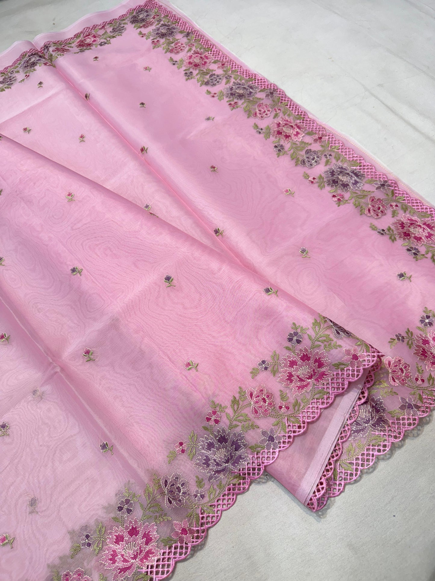 Banarasi kora organza embroidery saree