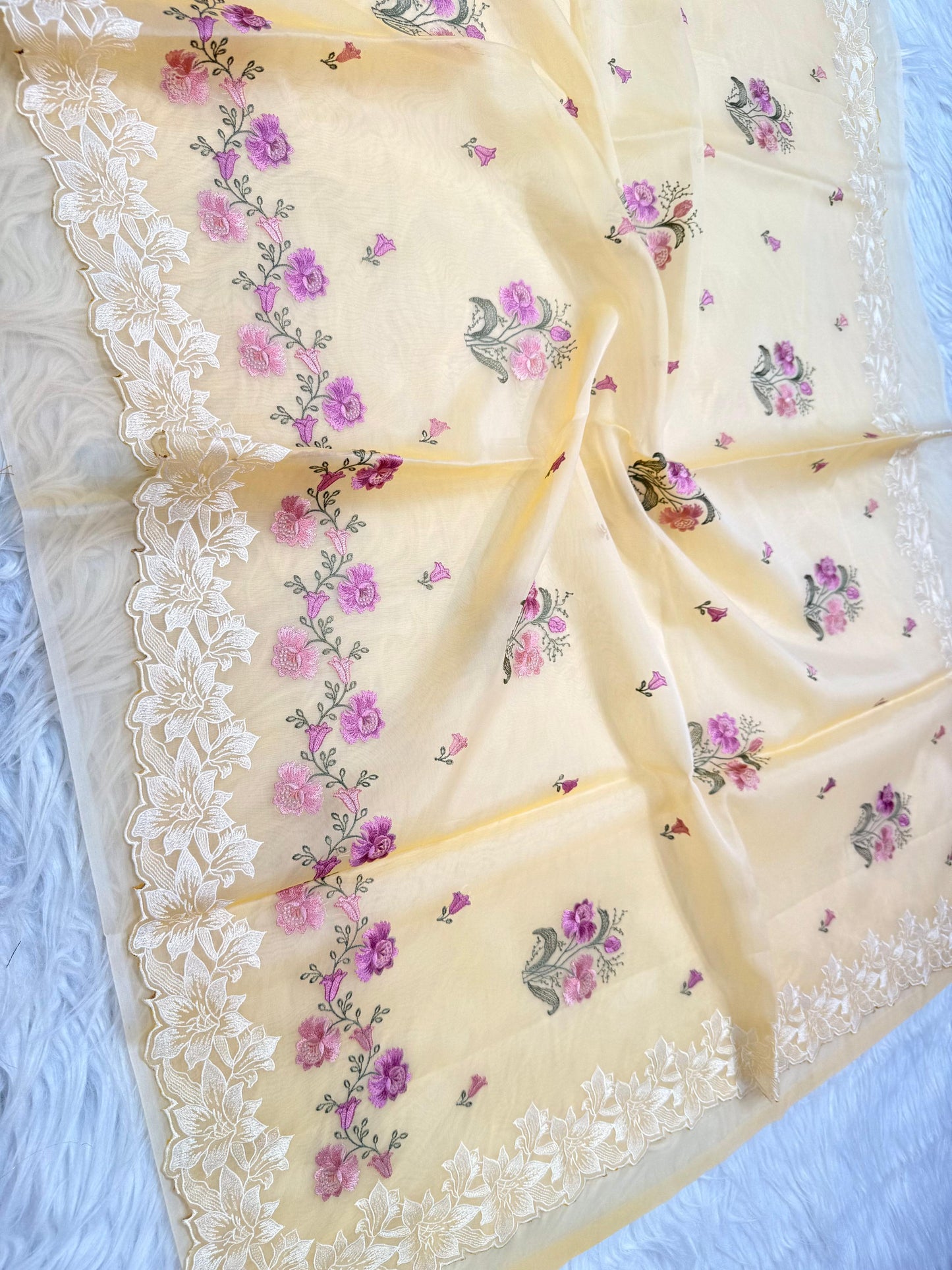 Banarasi kora organza embroidery saree
