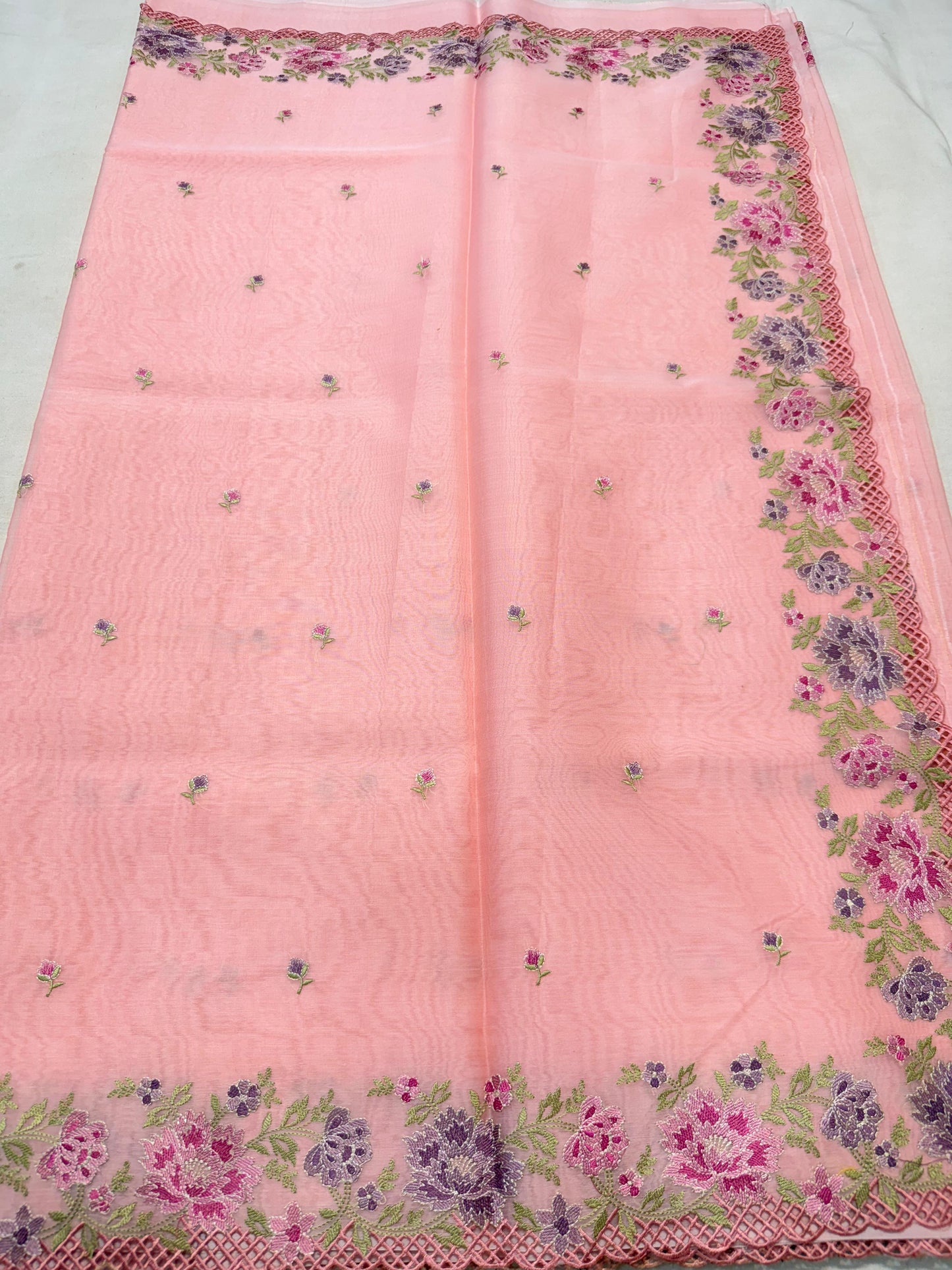 Banarasi kora organza embroidery saree