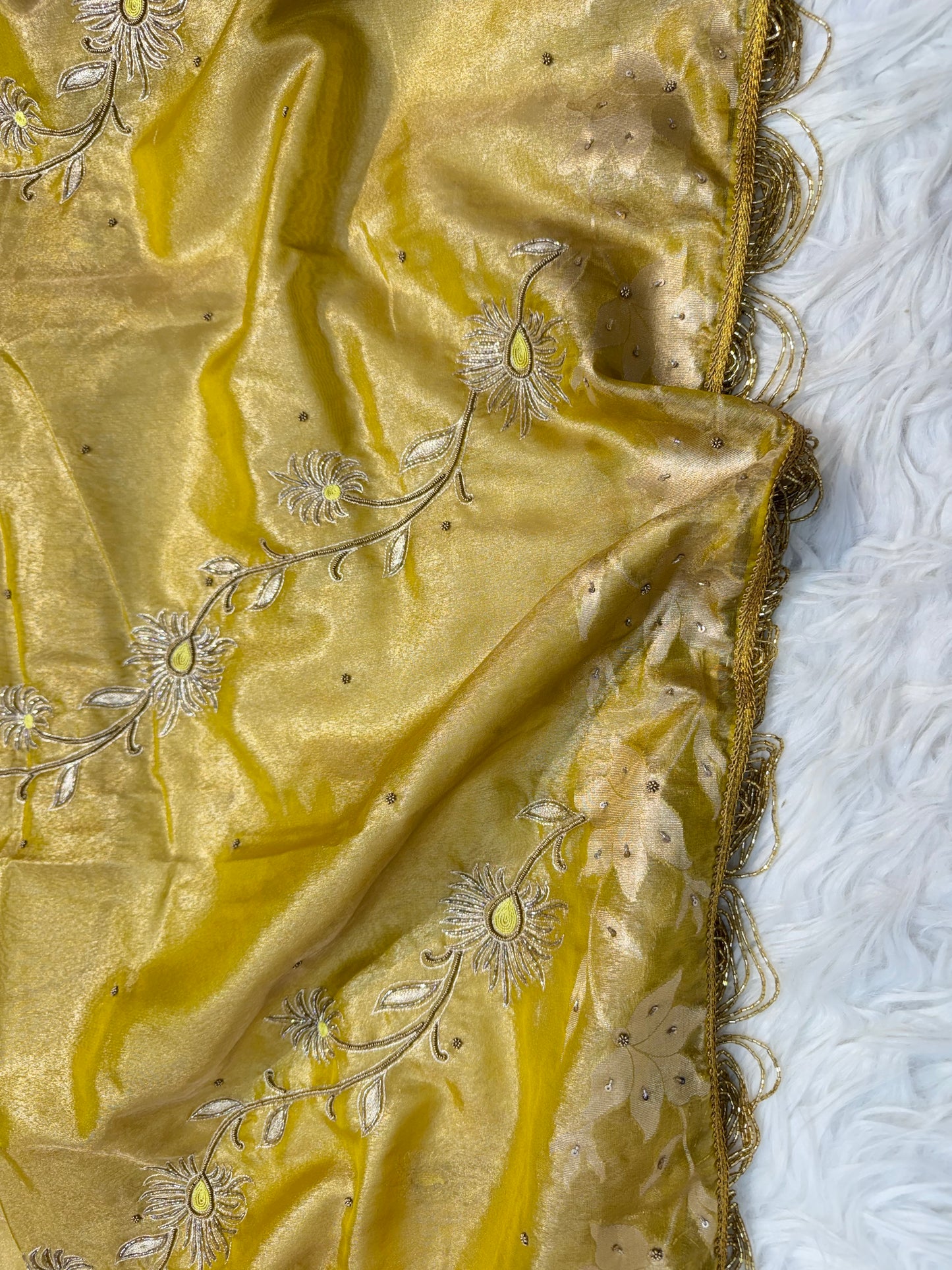 Tissue Aari Work Banarasi silk saree