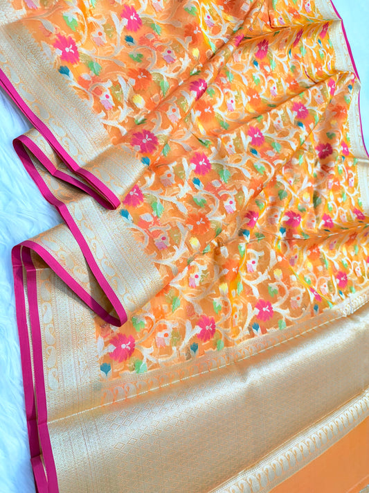 Banarasi kora organza saree