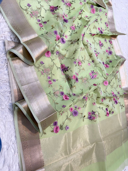 Pista   shade organza embroidery Banarasi saree