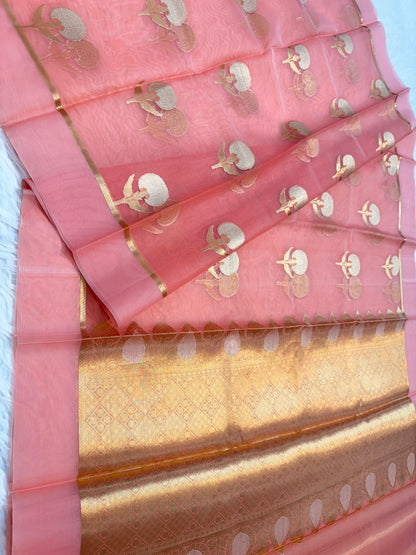 Banarasi kora organza alfi saree
