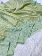 Pista green shade tissue kota zardosi work premium Banarasi saree