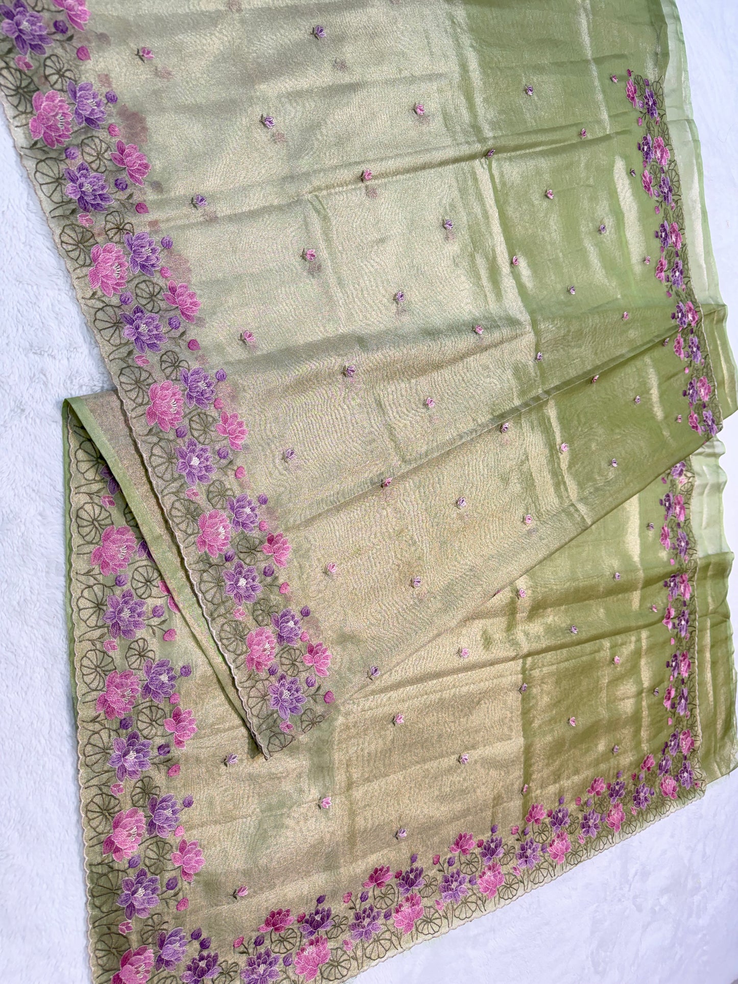 Pista green shade tissue cutwork embroidery premium designer Banarasi saree