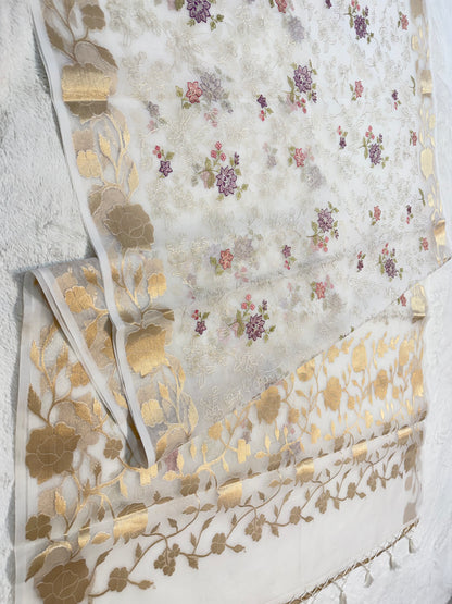 White shade organza designer  embroidery premium Banarasi saree