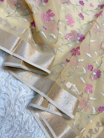 Beige shade  kora organza  embroidery Banarasi saree