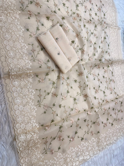 Off white shade organza designer cutwork premium embroidery Banarasi saree