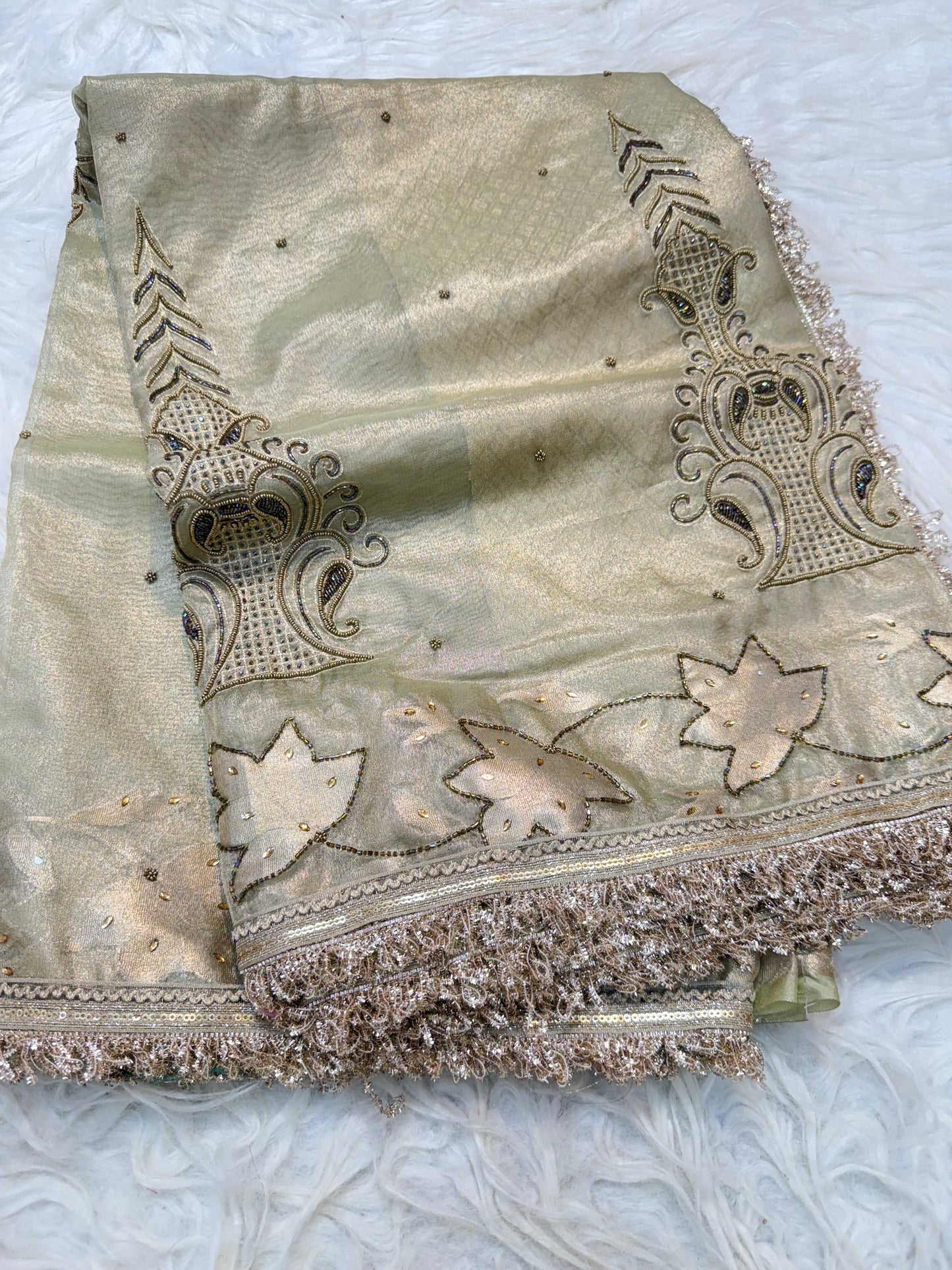 Tissue Aari Work Banarasi silk saree