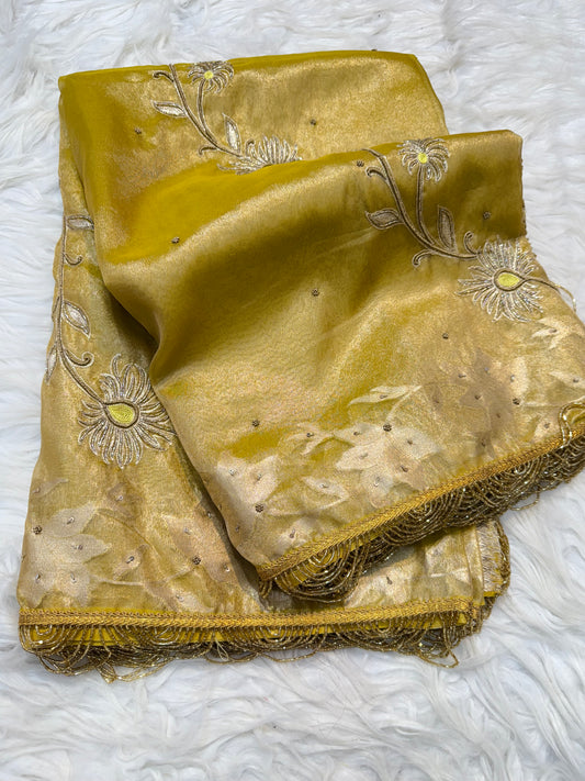Tissue Aari Work Banarasi silk saree