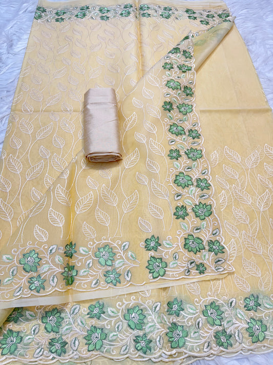 Banarasi kora organza embroidery saree