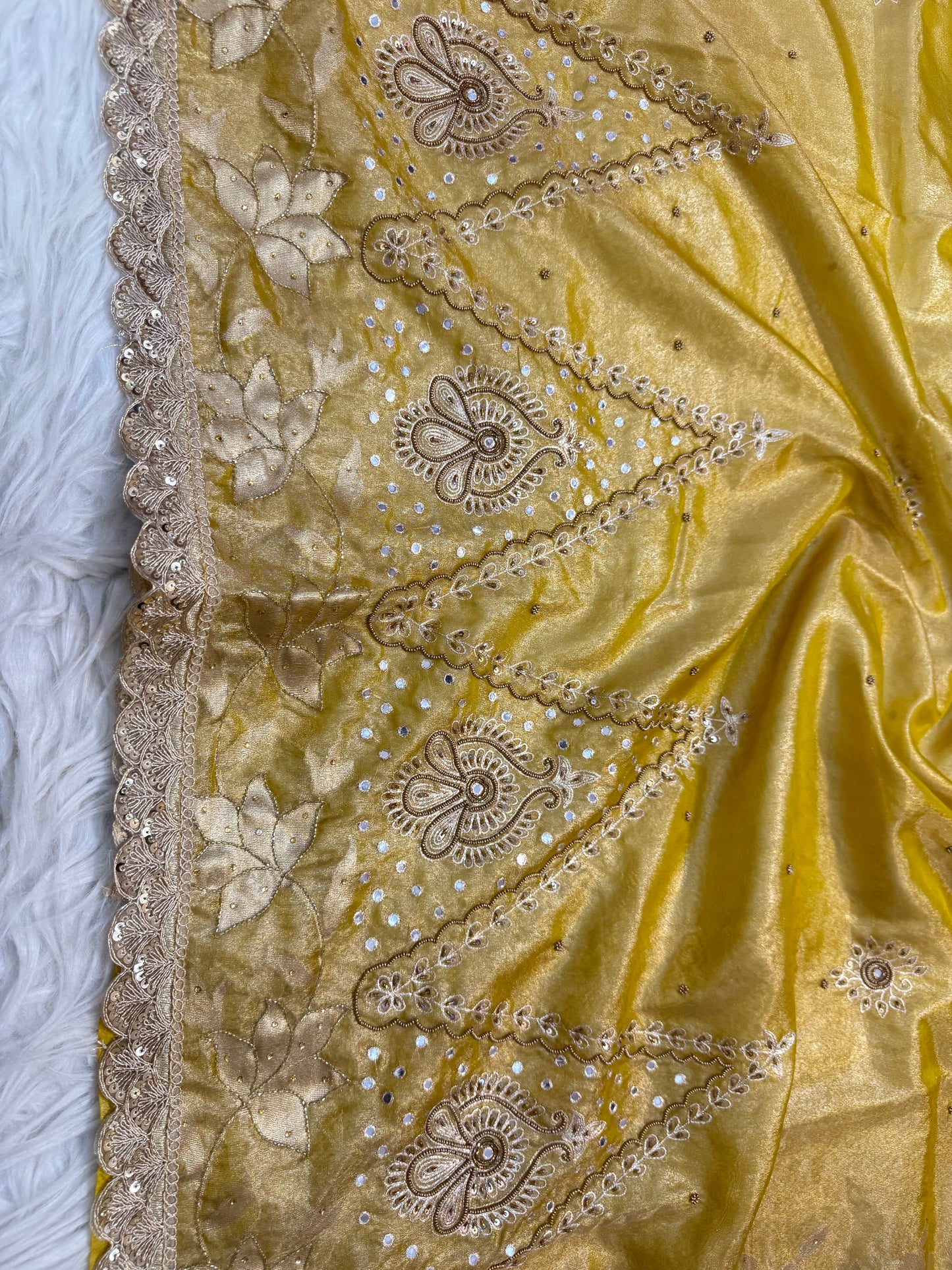 Tissue Aari Work Banarasi silk saree