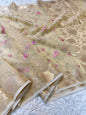 Beige green shade kora organza  embroidery Banarasi saree