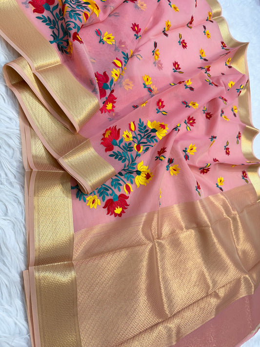 Picha multi colore kora organza embroidery Banarasi saree