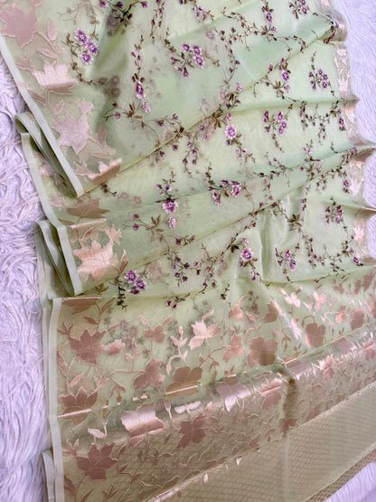 Pista green shade organza embroidery Banarasi saree