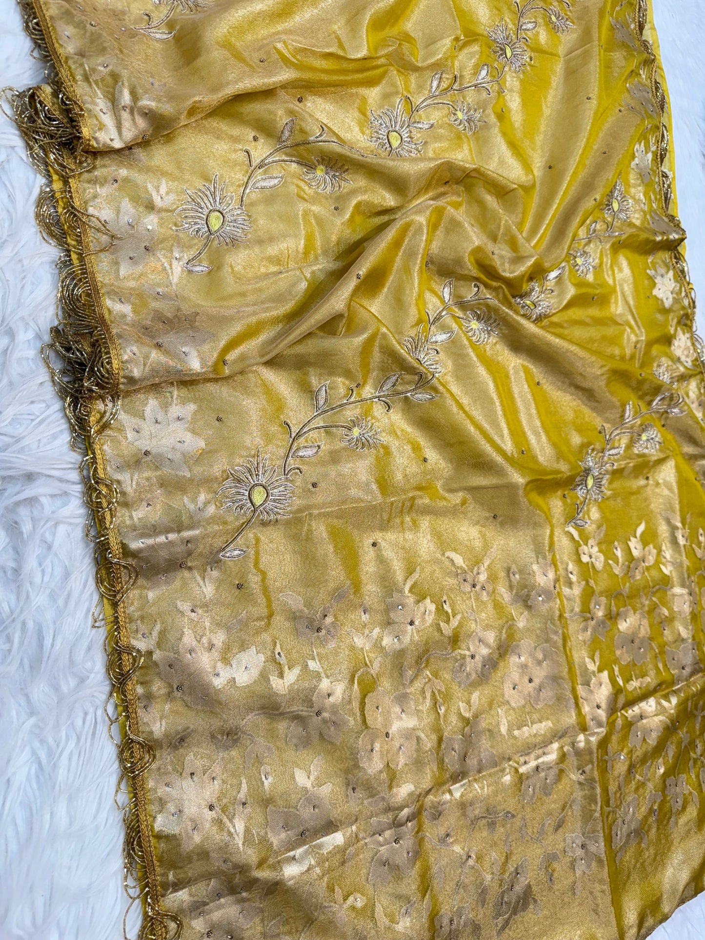 Tissue Aari Work Banarasi silk saree