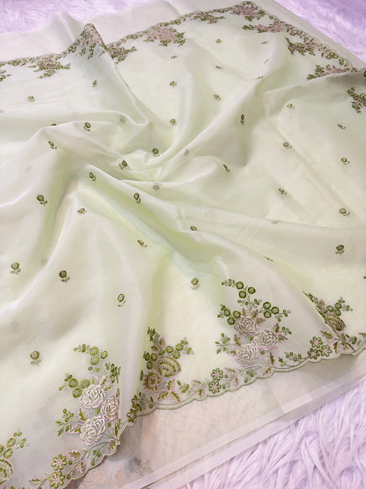 Pista green shade kora organza cutwork embroidery Banarasi saree