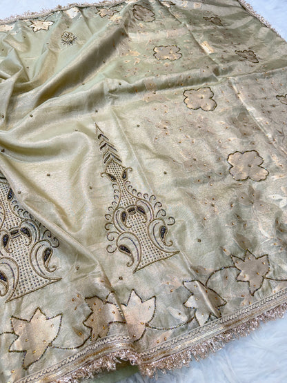 Pista free  shade tissue ari & zardosi work designer premium Banarasi saree