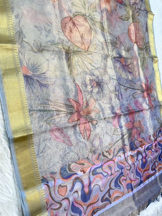 Tissue digital print handwork Banarasi saree