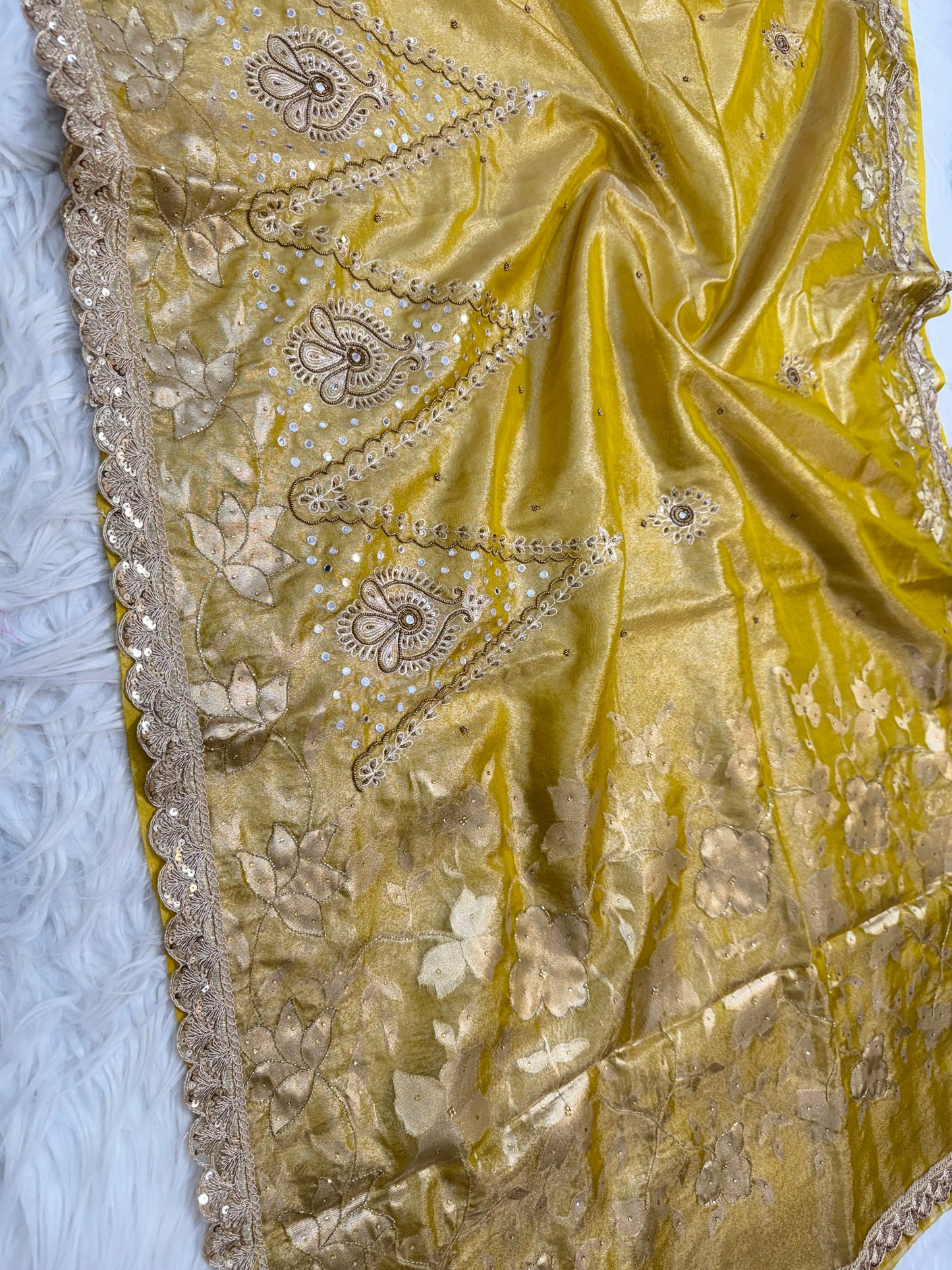 Tissue Aari Work Banarasi silk saree
