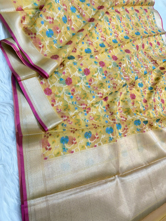 Banarasi kora organza saree