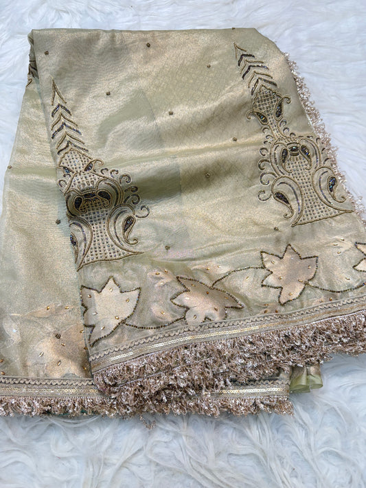 Pista free  shade tissue ari & zardosi work designer premium Banarasi saree