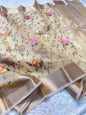 Beige shade organza embroidery Banarasi saree