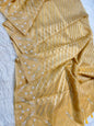 Tissue kota handwork Banarasi silk saree