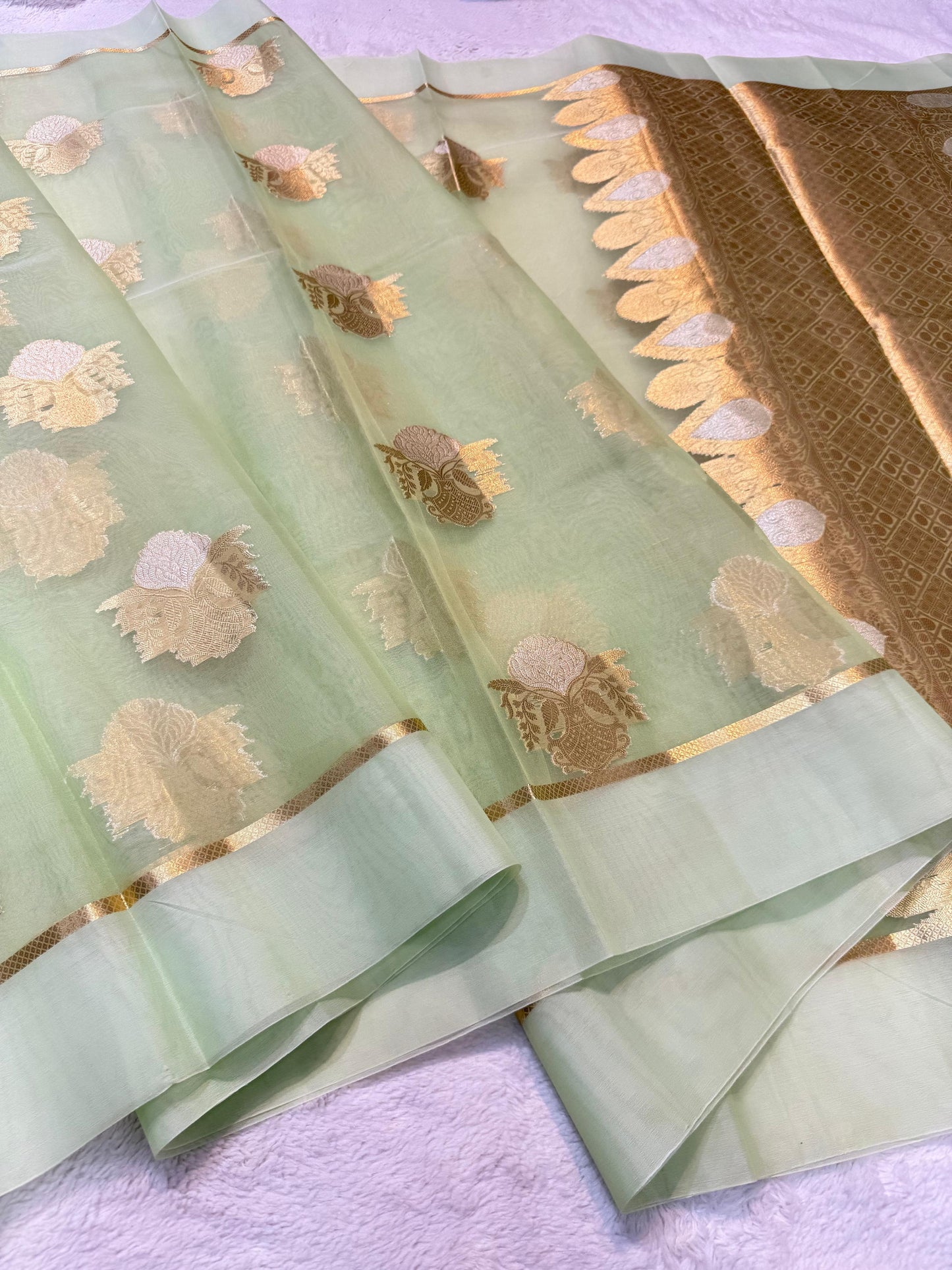 Green Kora Organza Banarasi Saree