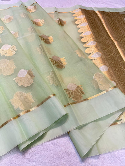 Green Kora Organza Banarasi Saree