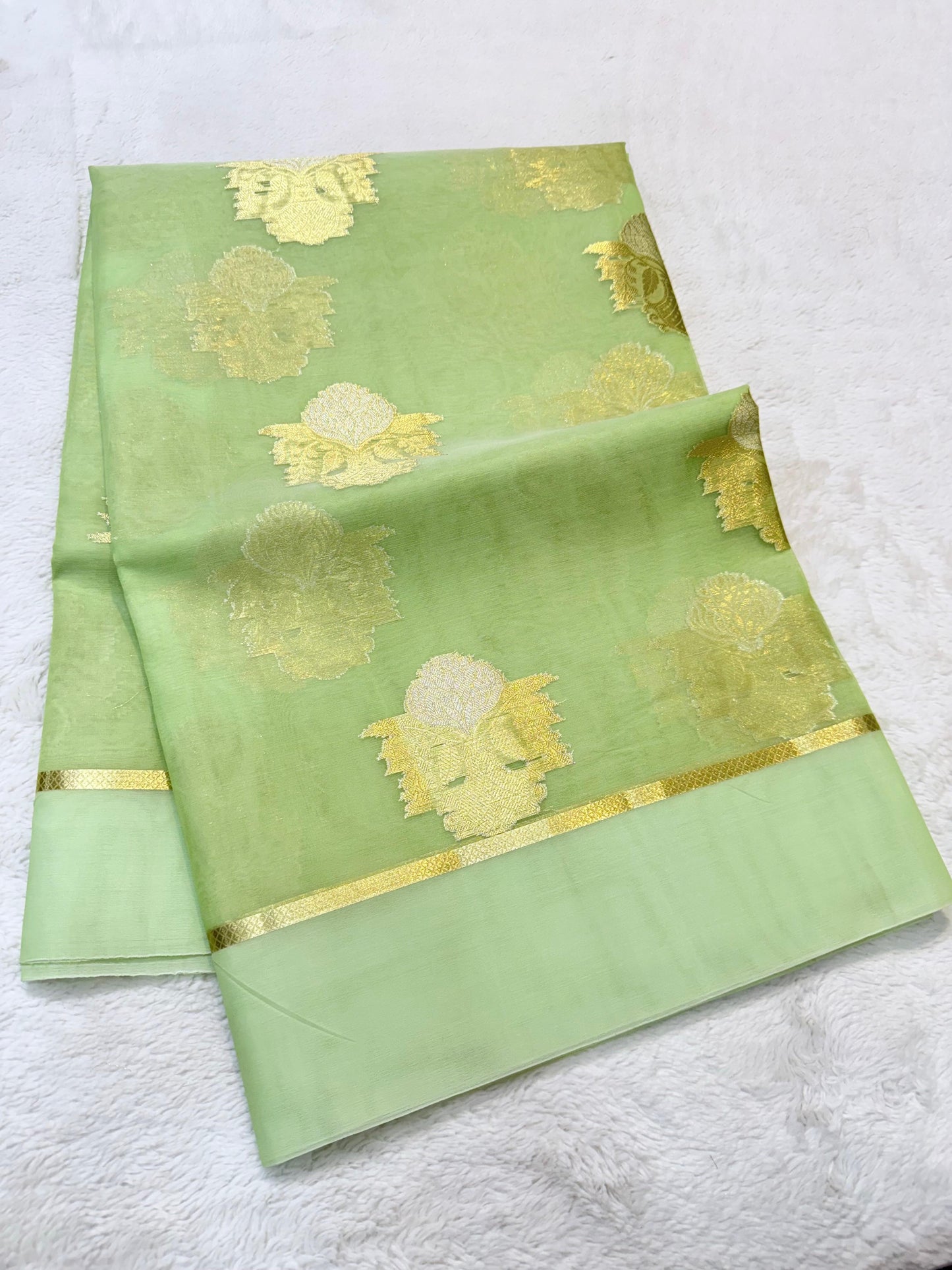 Green Kora Organza Banarasi Saree