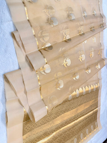 Gold Kora Organza Banarasi Saree