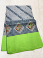 Gray & Green Shade Kora Organza Embroidery Banarasi Saree