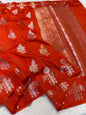 Orange Raw Mango Premium Banarasi Saree