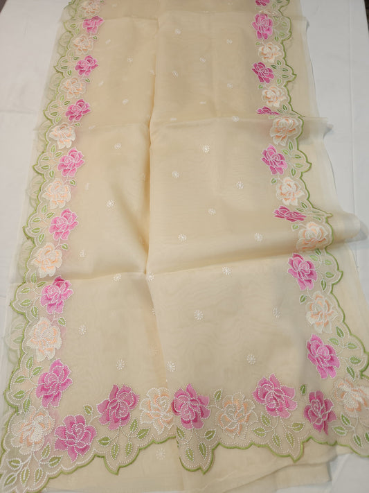 Banarasi kora organza cutwork embroidery saree