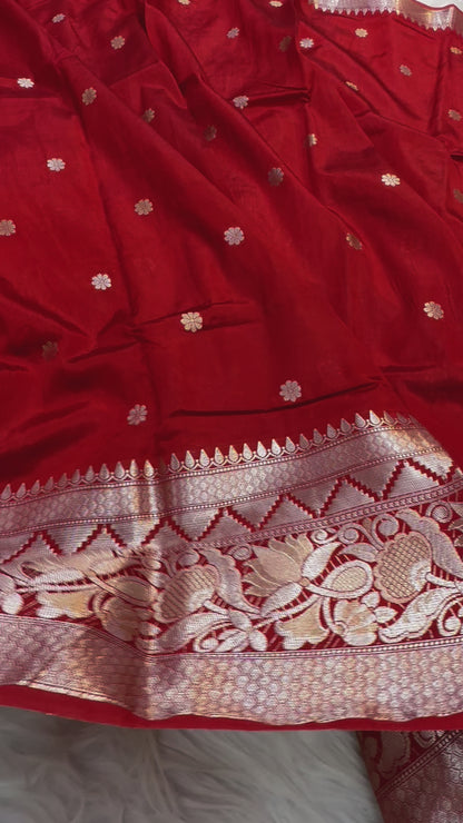Raw mango banarasi saree